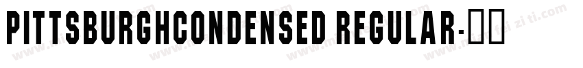 PittsburghCondensed Regular字体转换